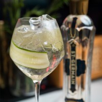 Hendricks & Tonic
