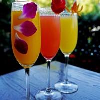 Bellini